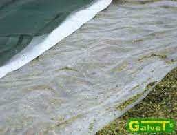 Folia pryzmowa 18x50m czarno-biała gr.150. koszonkarska