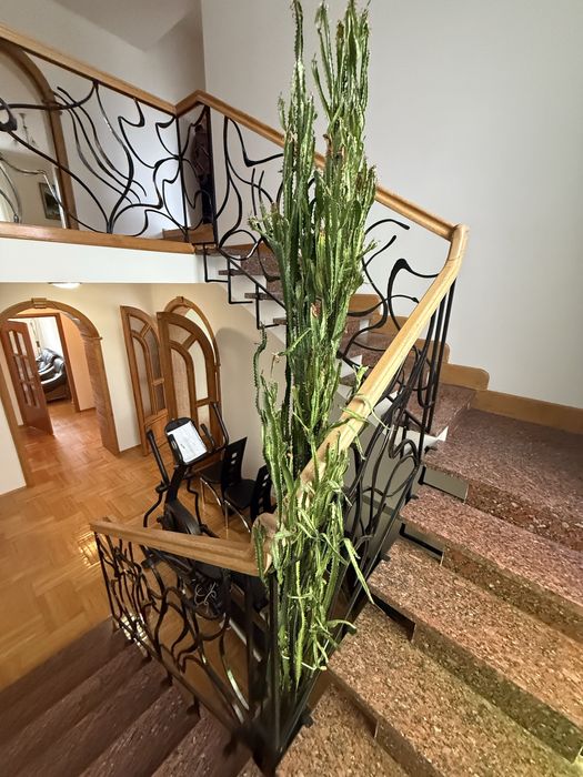 Оренда будинку в с. Конопниця «Царське Село», 10 хв до Львова