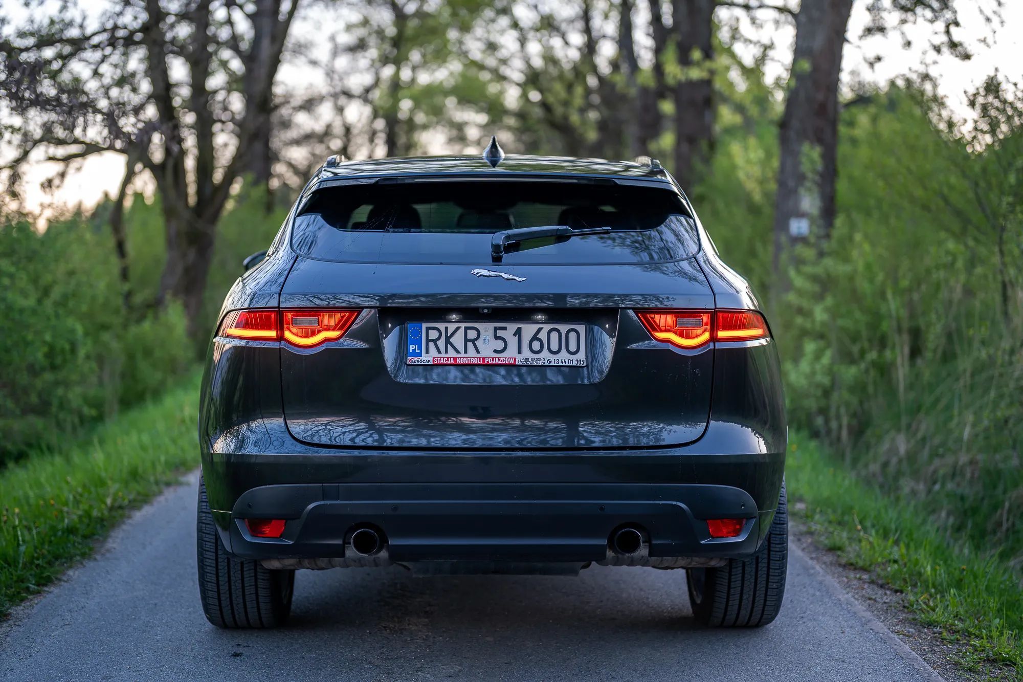 Jaguar F-Pace Jaguar F-Pace -3.0 TDV6 R-Sport - MAX wersja wyposażenia