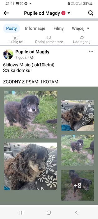 Szyka domku z ogródkiem.  Po śmierci właściciela który trzymał go .