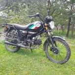 шенерей 125 не альфа мустанг