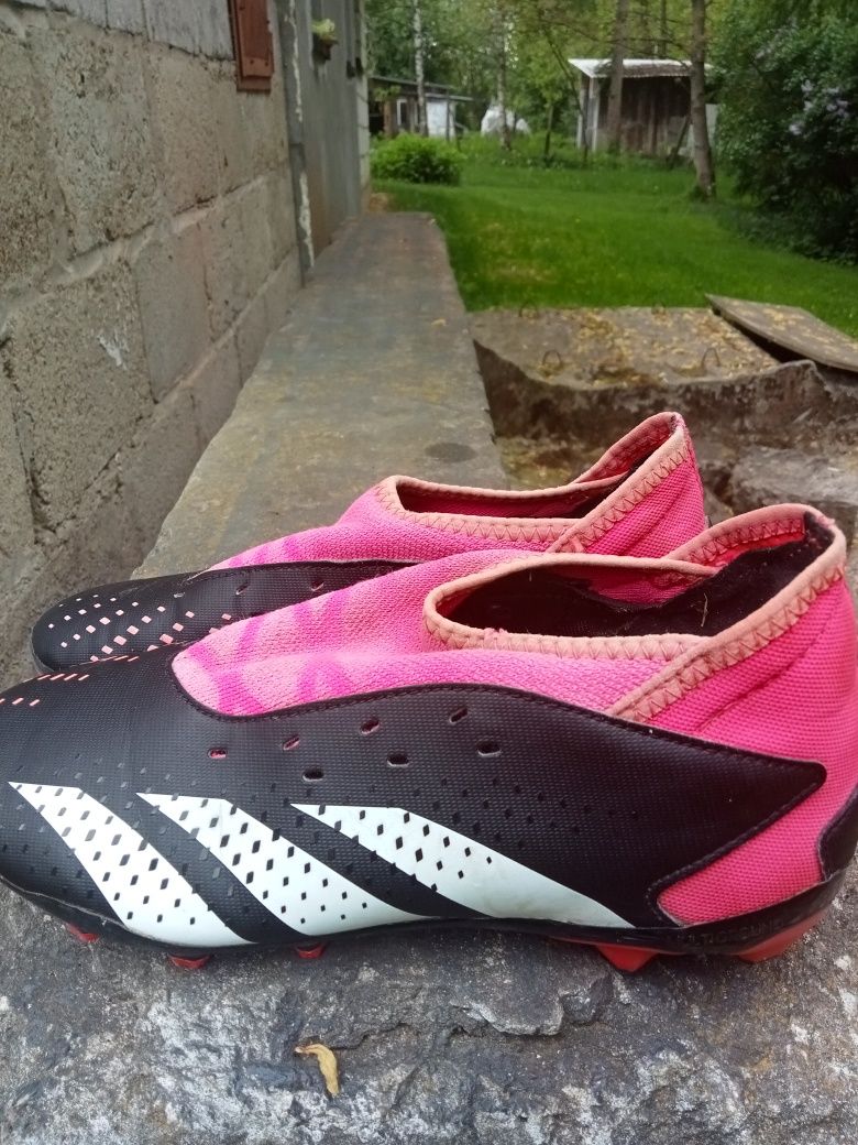 Korki Adidas Predator acurasib