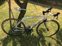Bicicleta Focus estrada