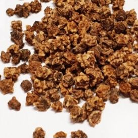 Продам насіння кормового буряка червоний і жовтий