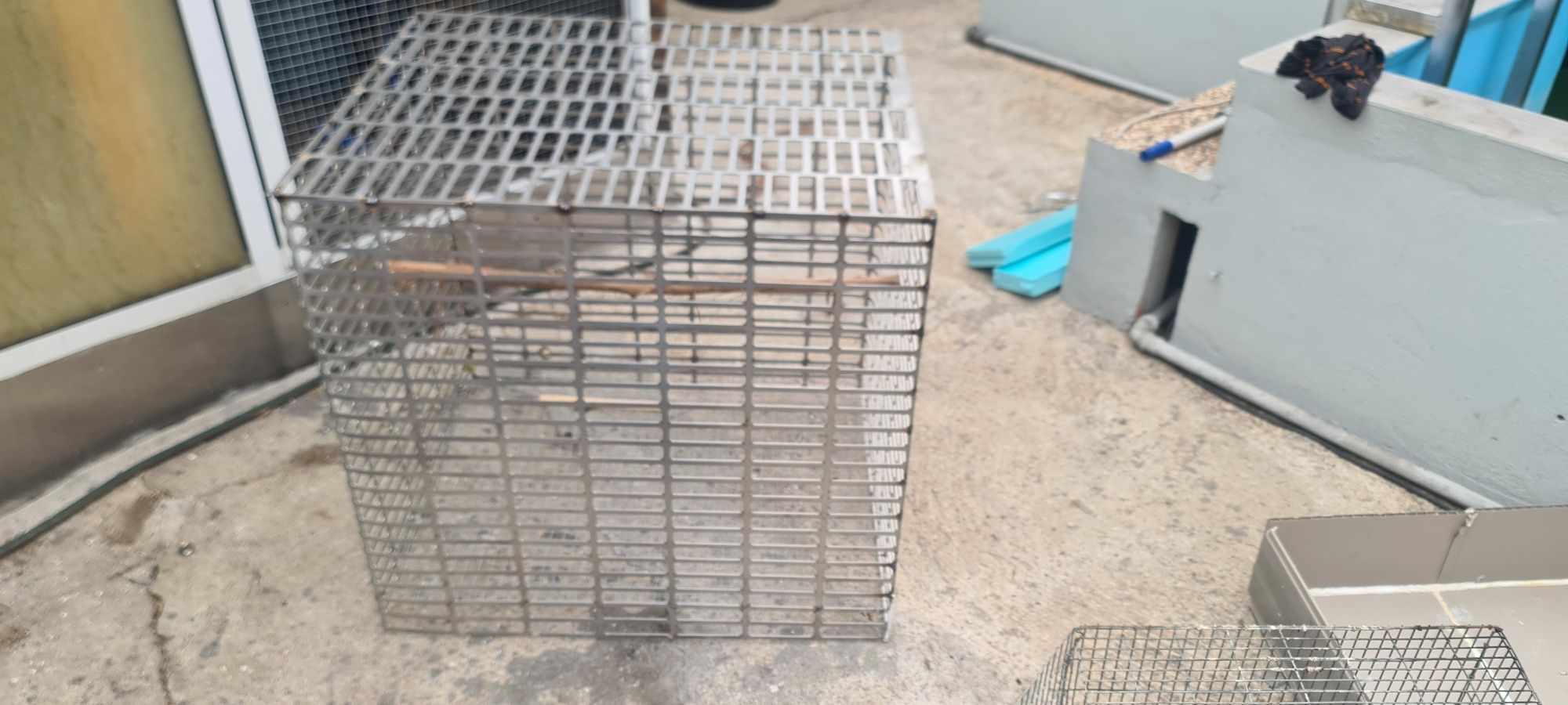 Gaiola para aves de grande porte