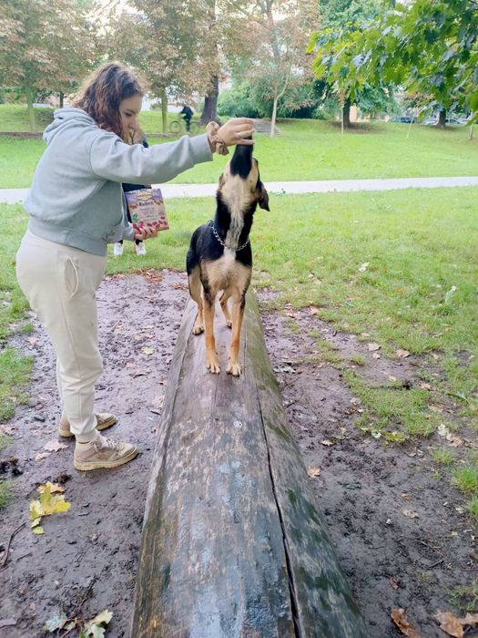 SPAJKY do adopcji