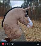 Hobby horse a3 wymiana