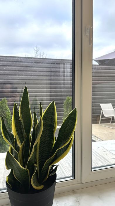 Таунхаус у центрі по ціні квартири з ремонтом!