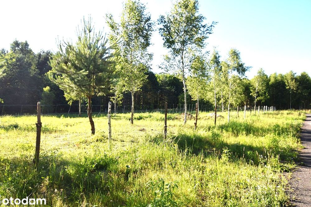 SPRZEDAM !!! Piękną działkę z warunkami zabudowy gm. Gietrzwałd