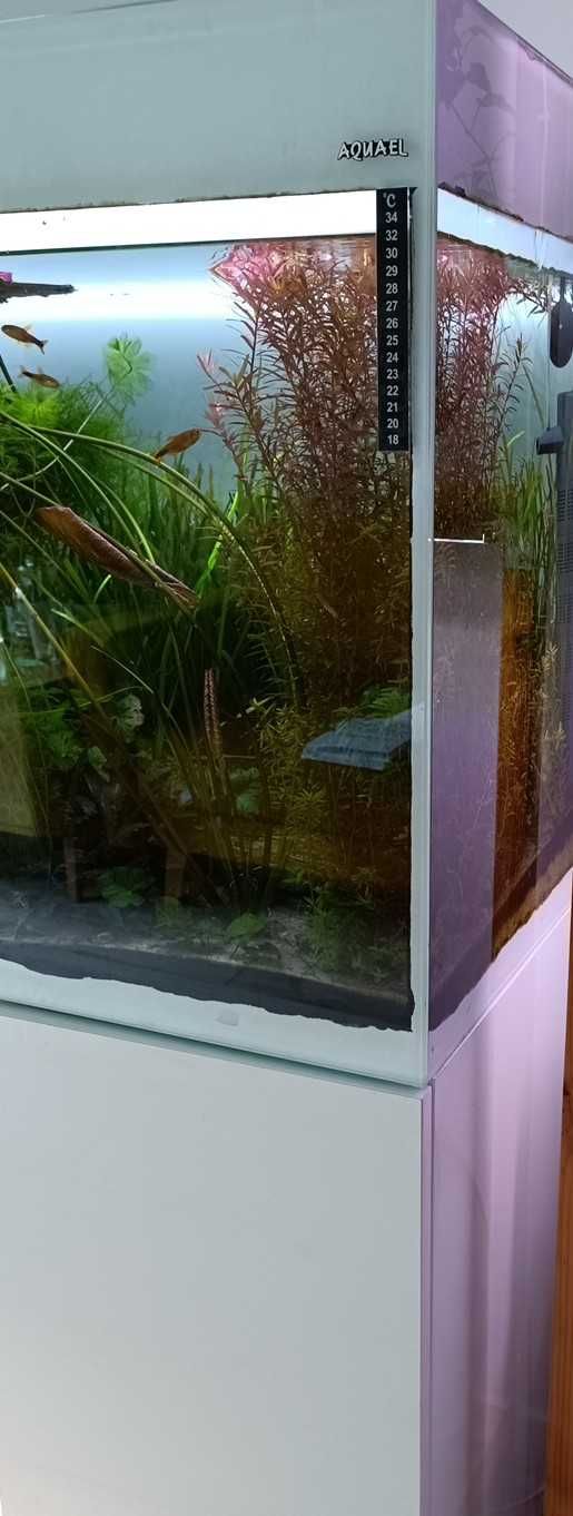 Akwarium Aquael glossy 120 260 l