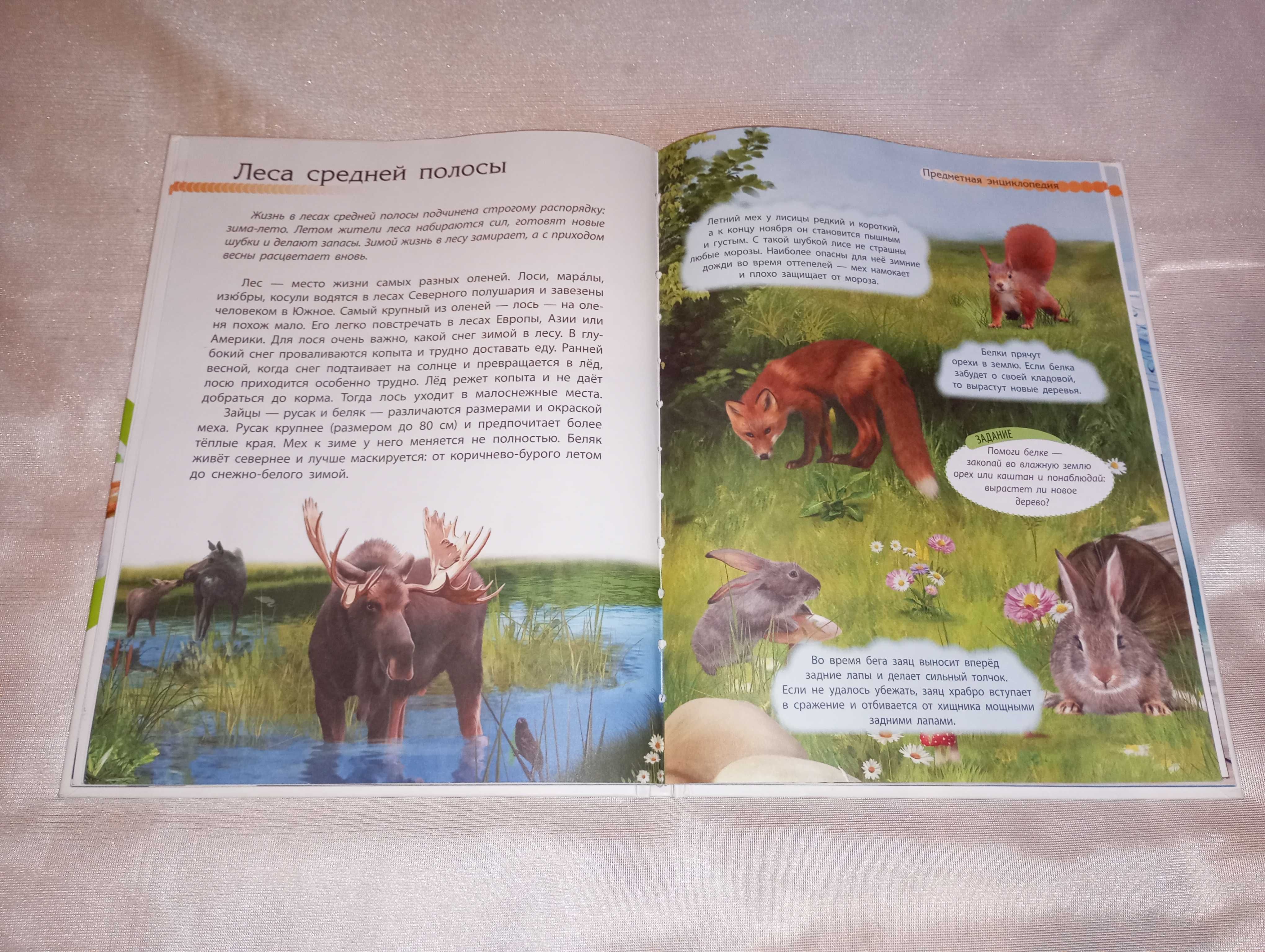 Книга детская Животный мир познаем и исследуем Елена Котенко