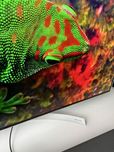 Tv LG oled 55’ B7