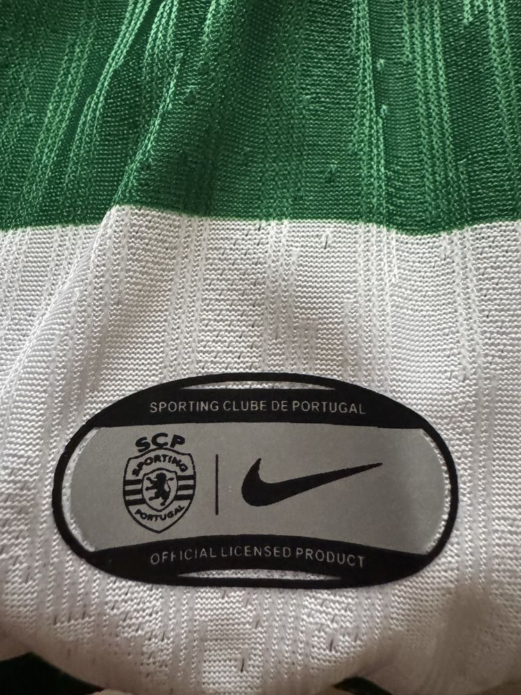 Equipamento sporting 25/26  L