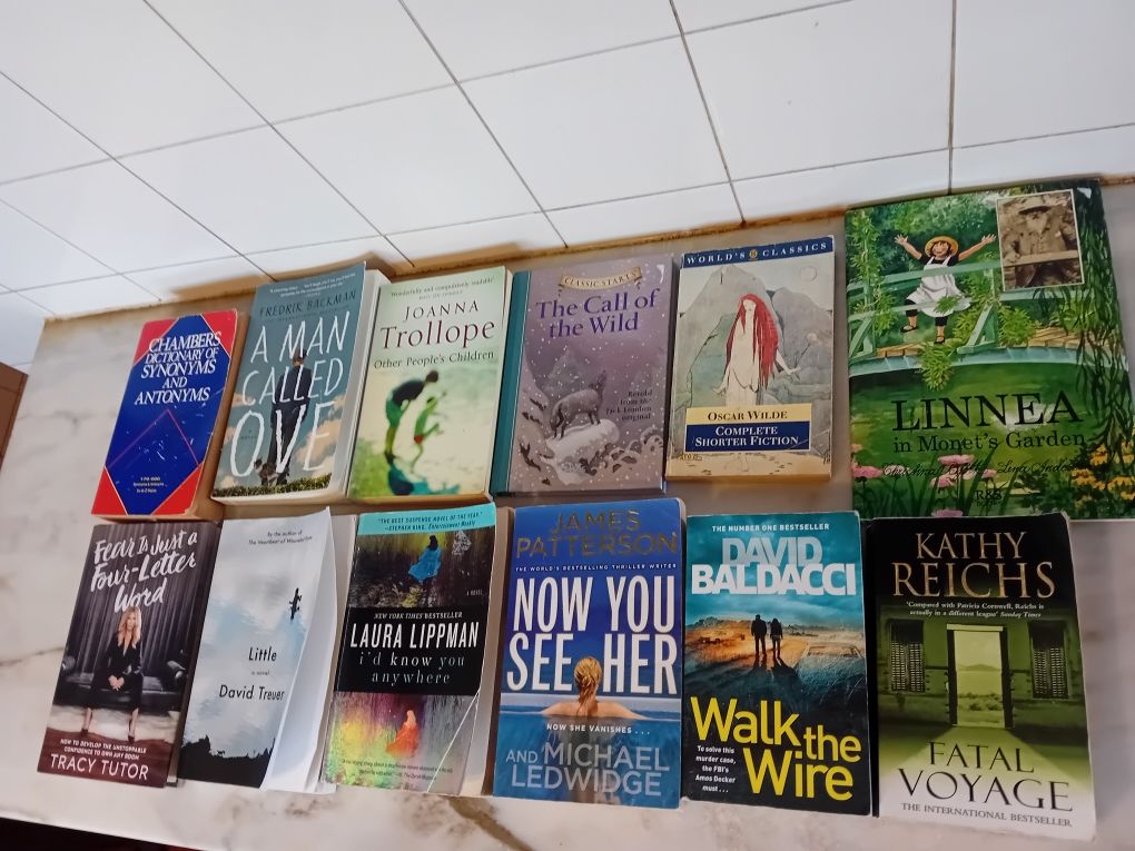 Conjunto de 12 Livros Diversos Língua Inglesa