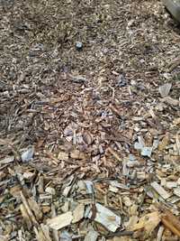 Zrębka leśna biomasa