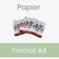 Papier ksero A4 80g/m2 2500 arkuszy (karton)