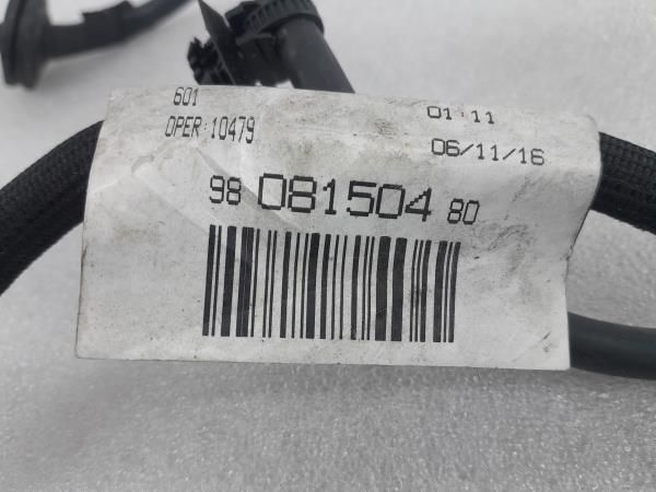 Instalação elétrica do motor / cablagem do motor CITROËN C4 Cactus