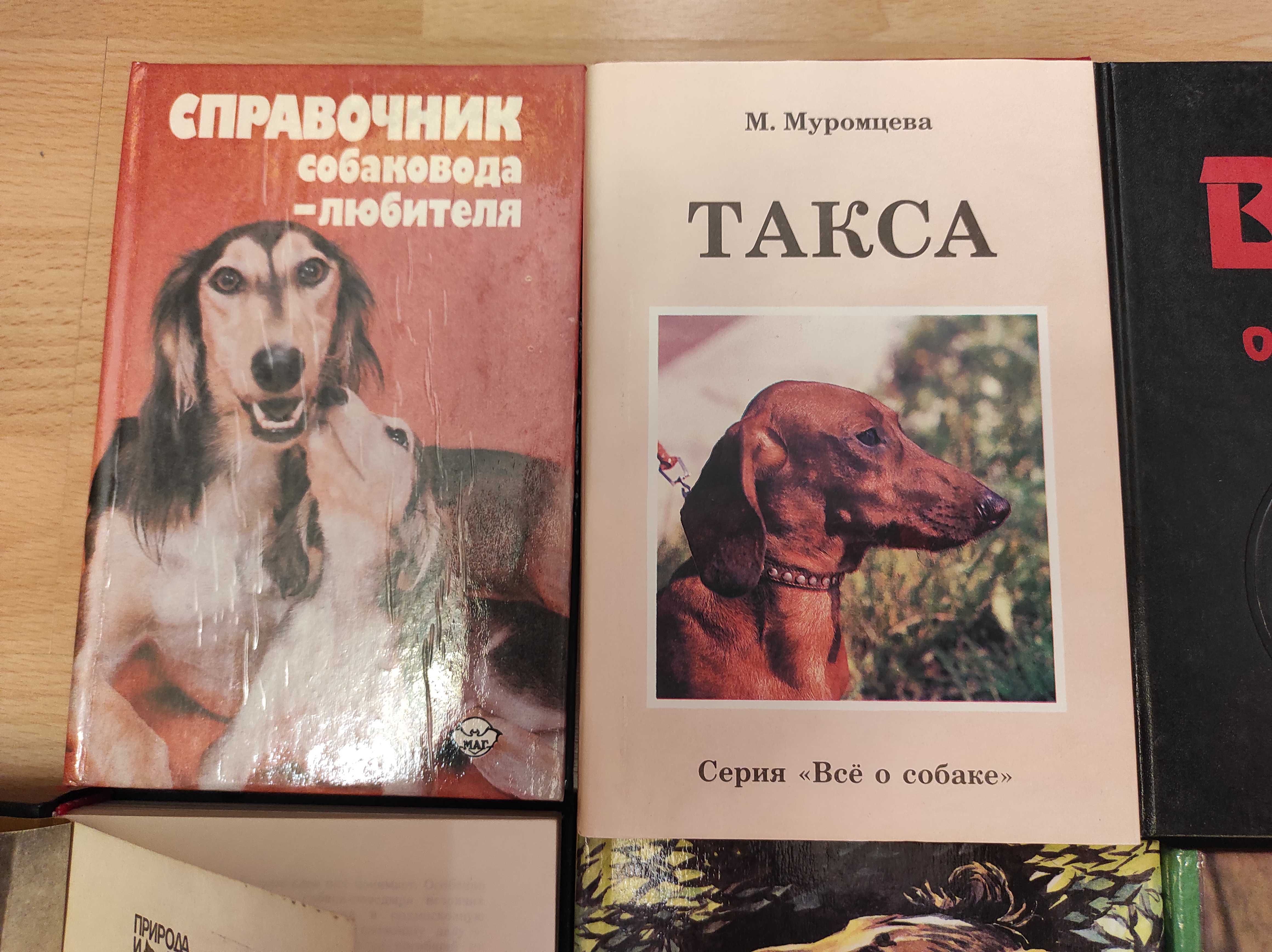 Книги о собаках.