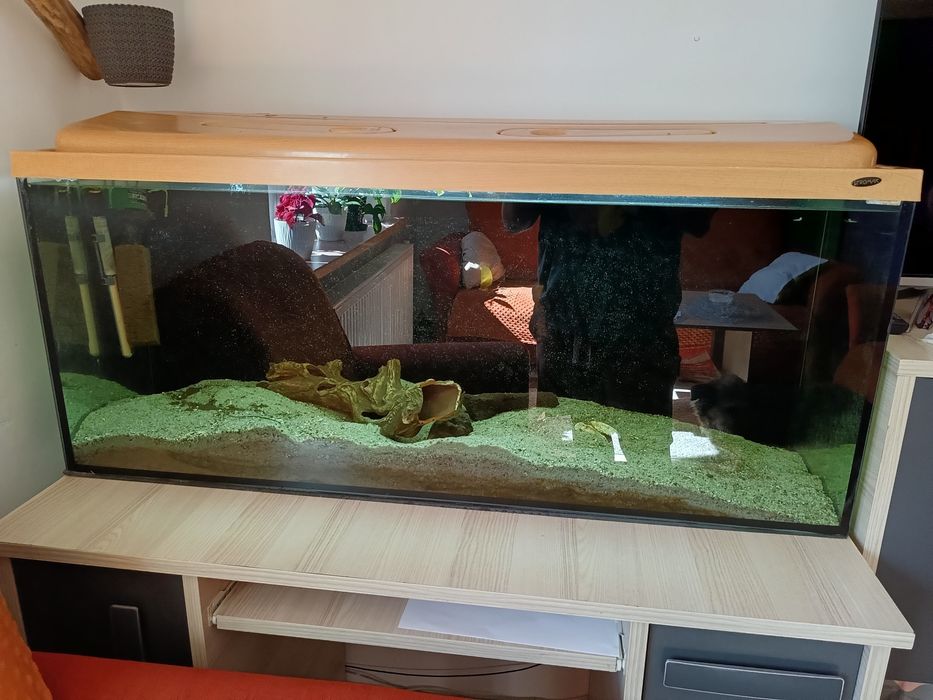 Sprzedam akwarium 240 L