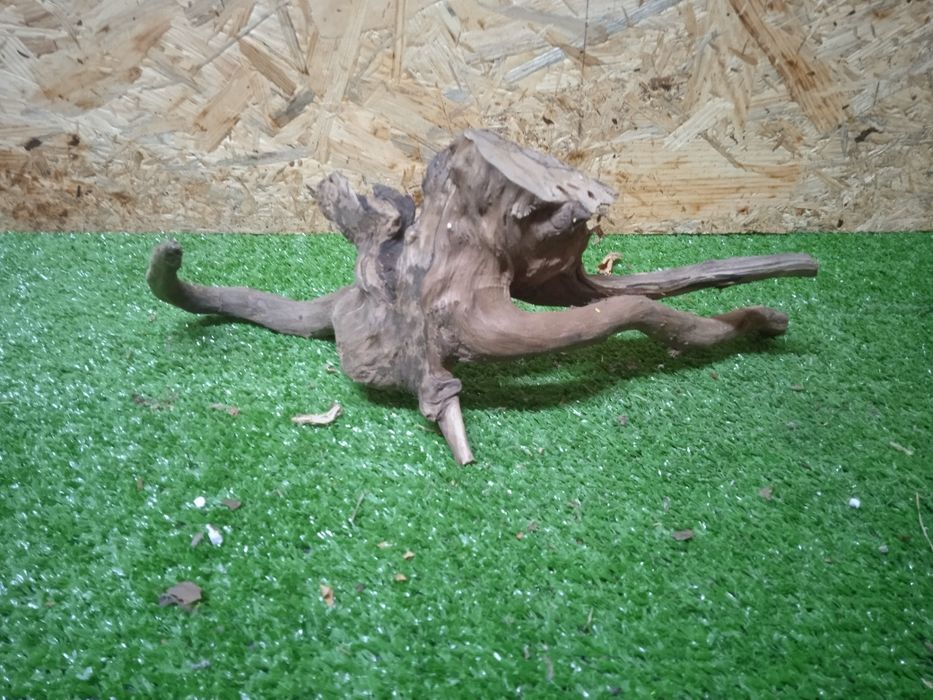 Korzeń do akwarium Red Moore Wood nr 464 o wymiarach 30/12/12