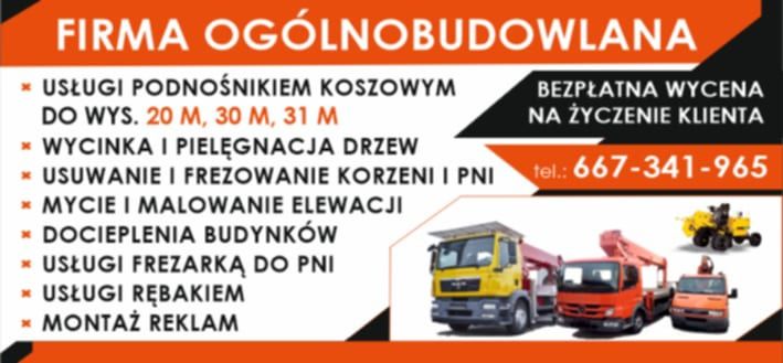 Usuwanie frezowanie pni