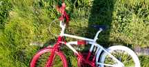 BMX de colecionador
