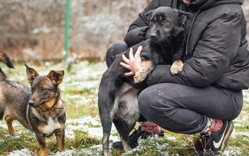 Gita - grzeczna I spokojna malutka czeka na miłość