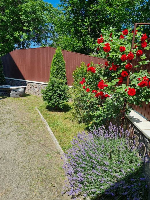 Продам 3-х пов. цегляний БУДИНОК в с. ВІЛЬНІЙ ТЕРЕШКІВЦІ.  137000