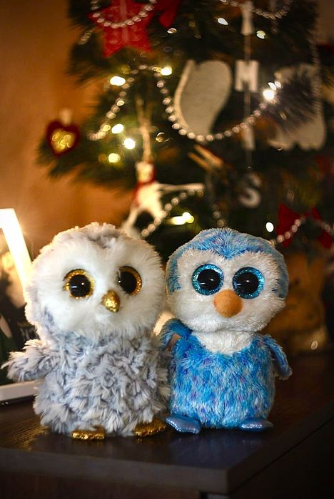 Helios/Геліос 44m для canon 58mm/ f2