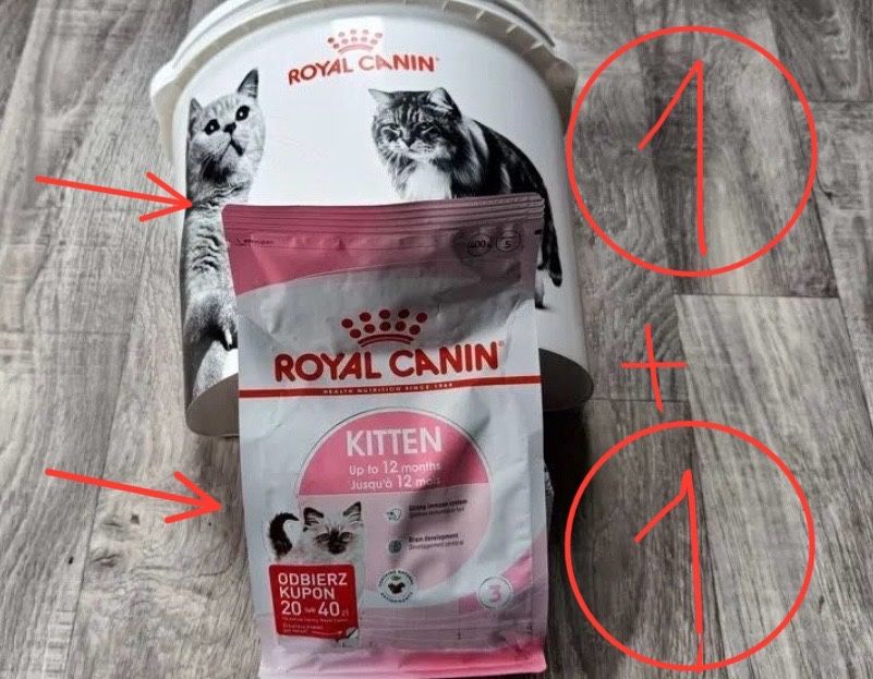 Karma RC Kitten + Pojemnik na karmę‼️ Royal Canin • Bri • Mather Baby
