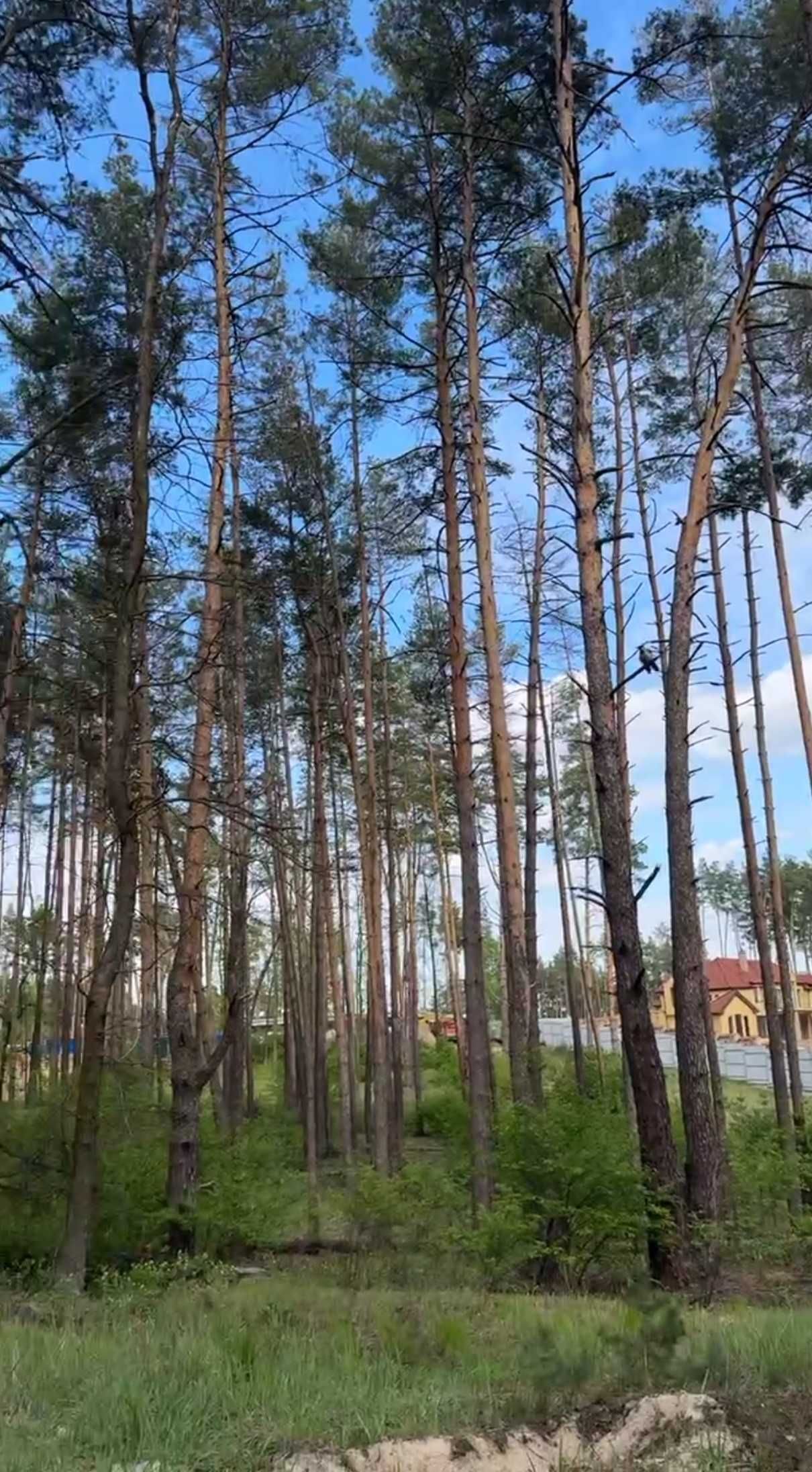 Ділянка 12-100 сот. З комунікаціями!  Стоянка Ірпінь,  "Лісова поляна"