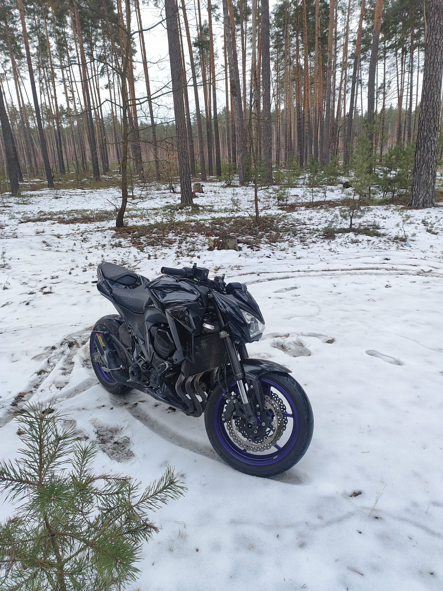 кавасакі з 800сс 2016р абс
