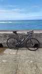 Trek Domane AL 2 Gen 4