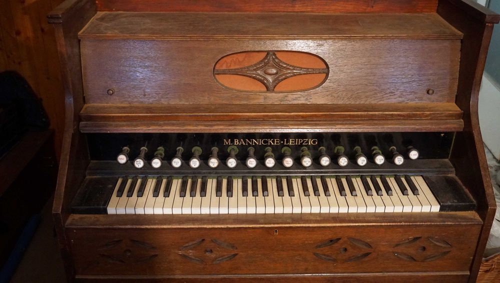 Fisharmonia z guzikówką.