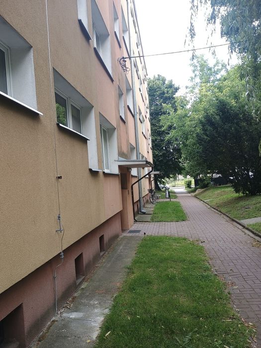 Wynajmę mieszkanie