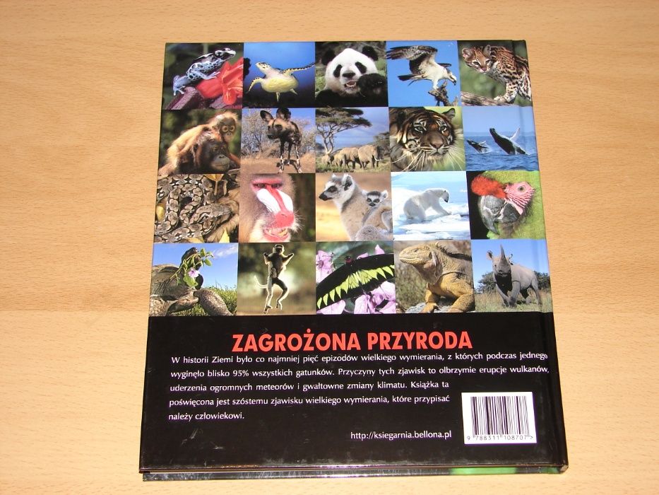Zbiór książek dla dzieci, poradniki, zarządzanie, albumy i inne