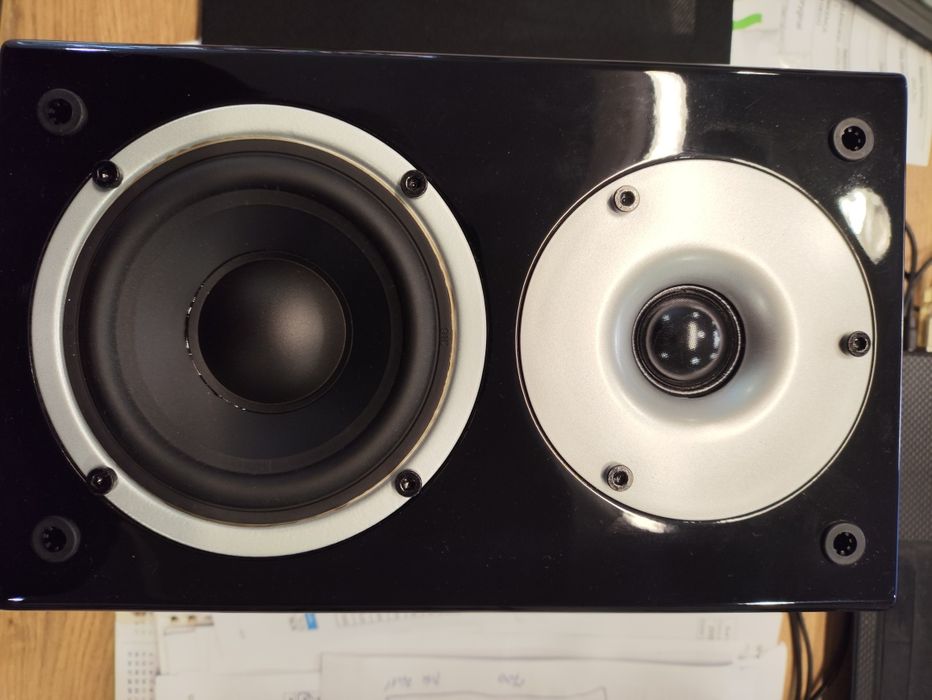 Kolumny Wilson Raptor Mini czarne