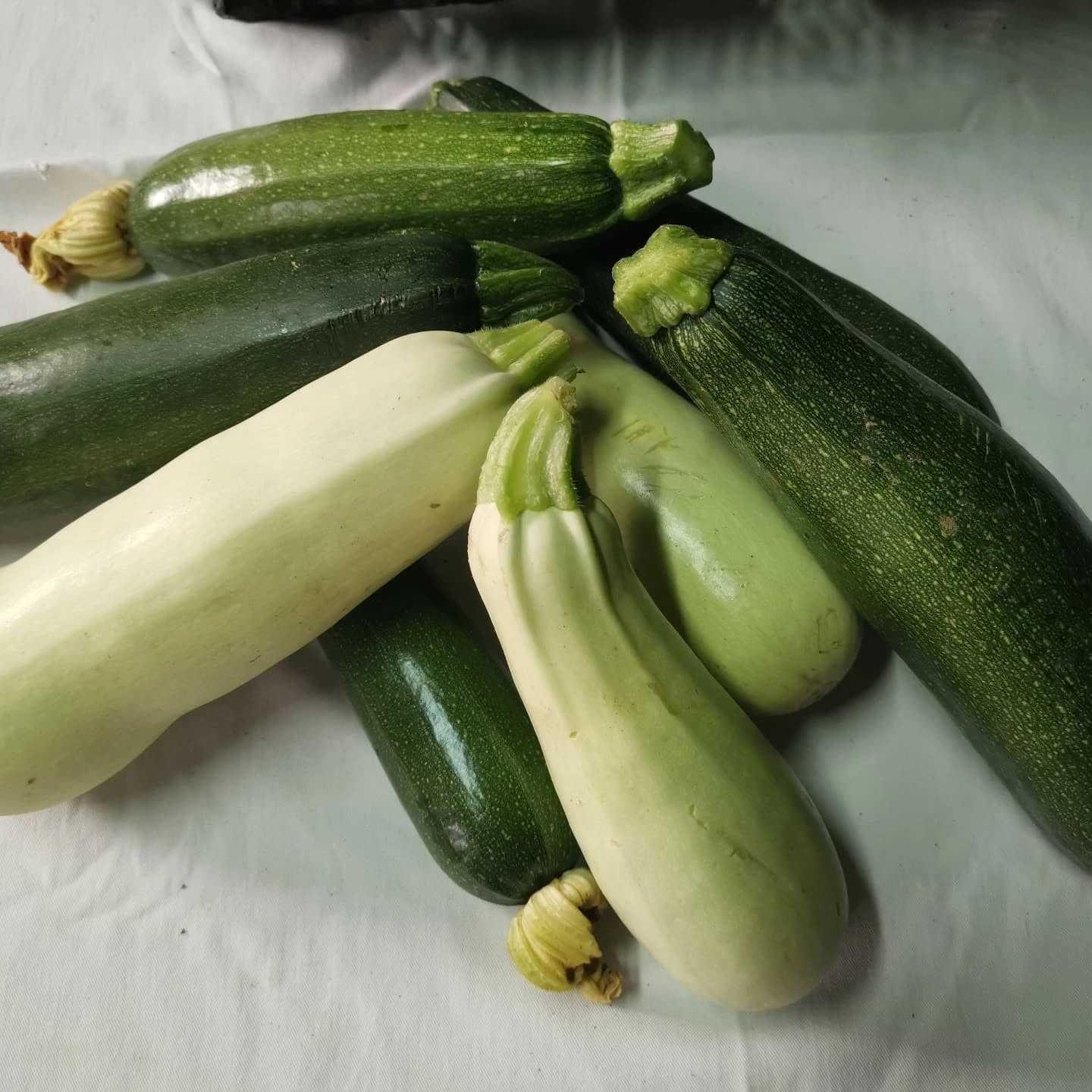 Courgette biológica