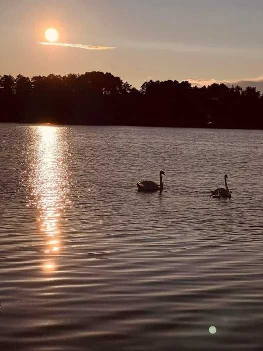 Lawendowe domki nad jeziorem Roś, Mazury, balia z hydromasażem