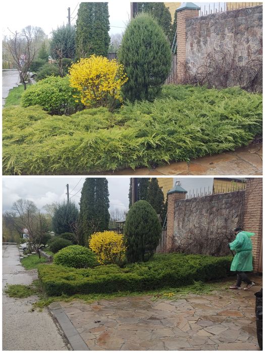 Услуги садовника