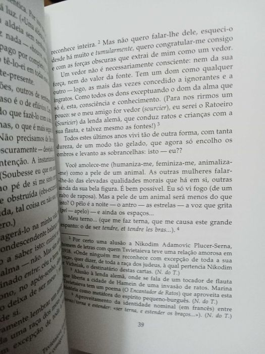 Marina Tsvitaeva - Noites florentinas