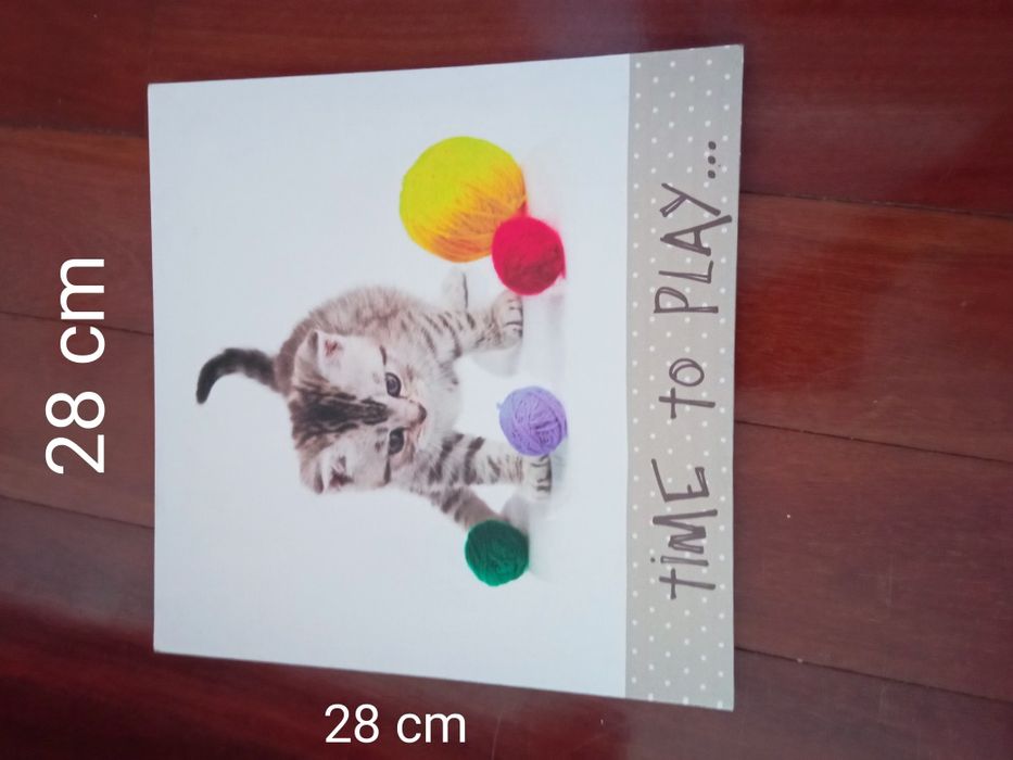 Telas de gatinhos