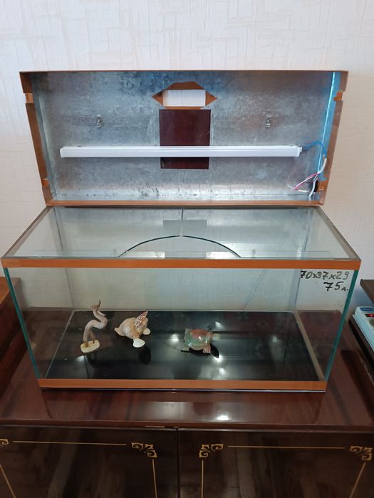 Акваріум, розпродаж