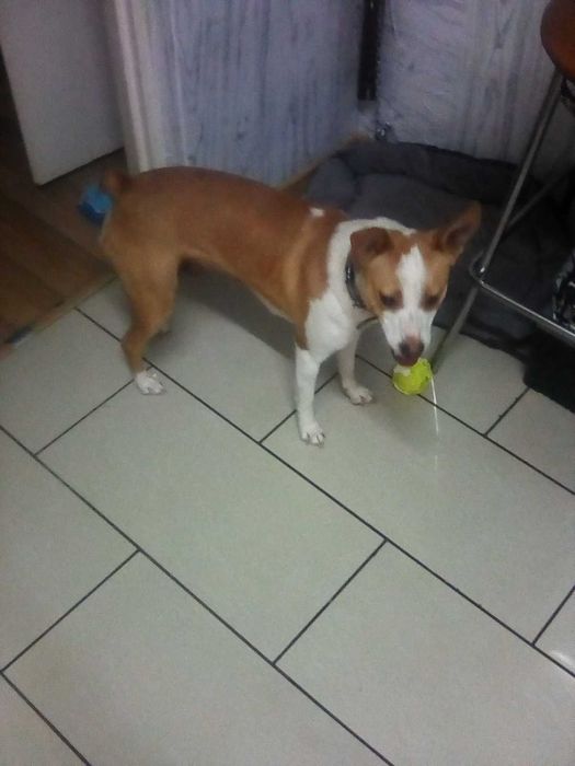 Oddam sunie mix w dobre ręce.