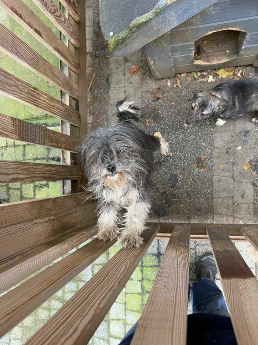 Pilne!!Blagam wyrwijmy z bud mamę i córkę z rąk psychicznego  Tarnów