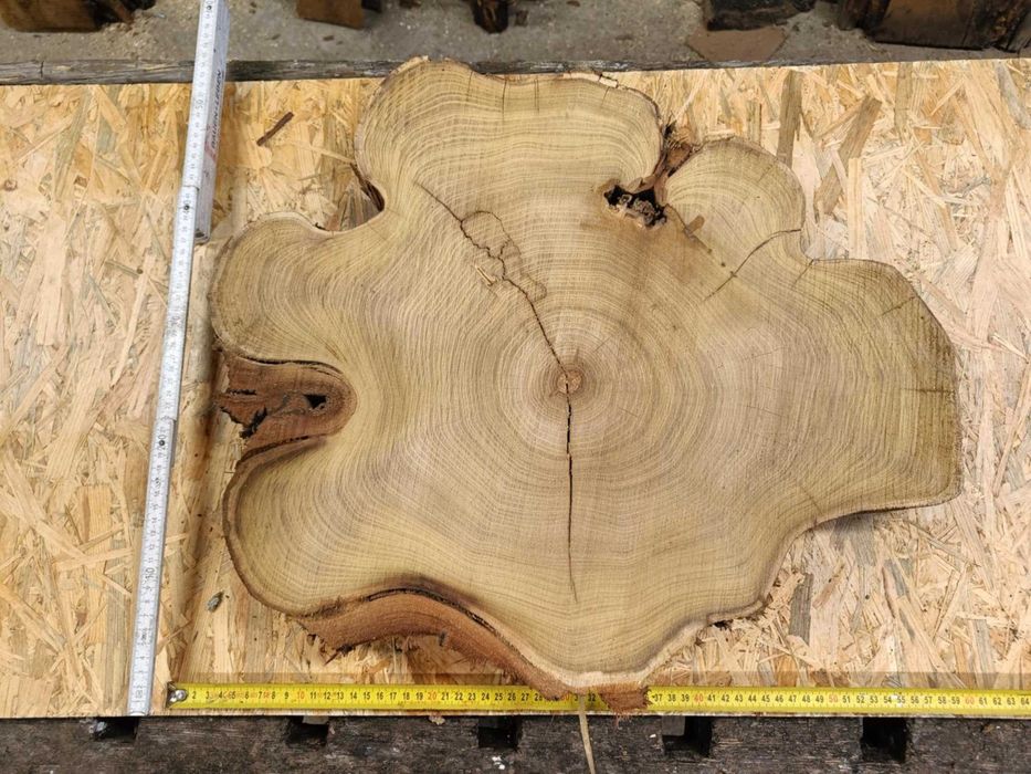 plastry plaster drewna akacja