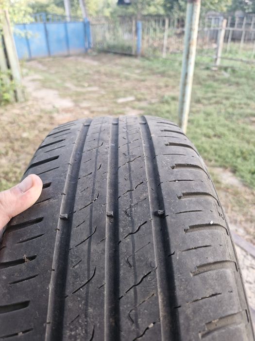 Шини Barum Bravuris 5 hm 195/65r15 літо