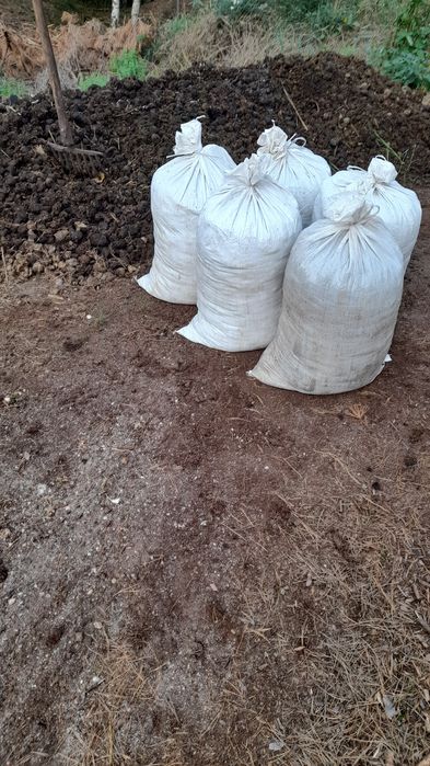 Obornik koński na worki