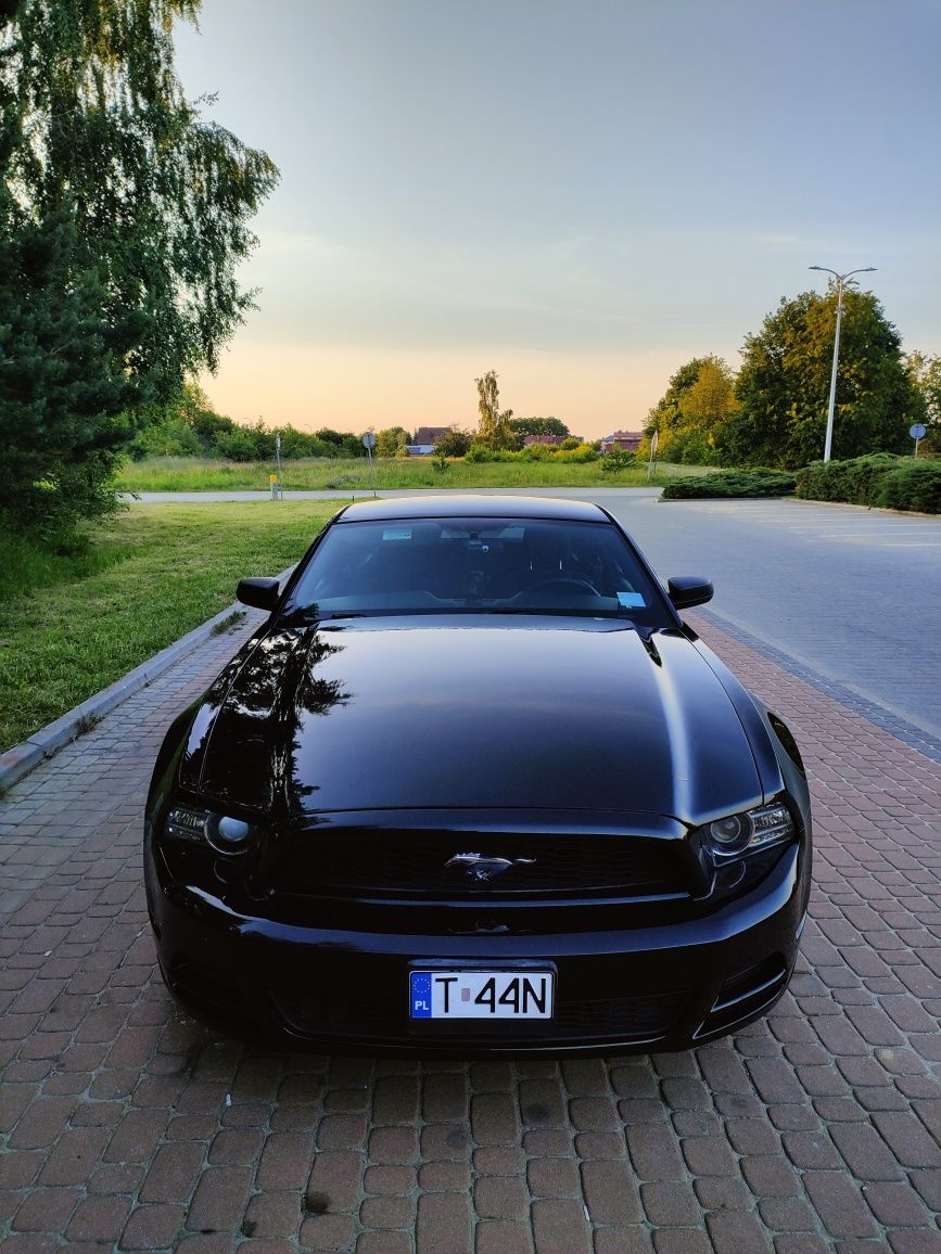Ford Mustang V 2014r. 3.7 V6 manual