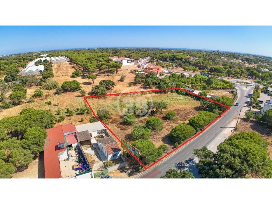 Terreno rustico com 4.232m2, situado em Escanchinhas/Almancil.